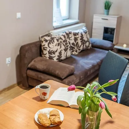 Apartament Center Grand Family *